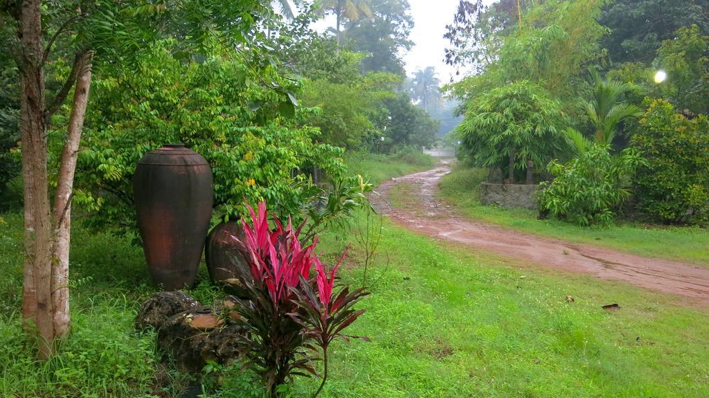 Clayfingers Art Cottage Thrissur Стая снимка