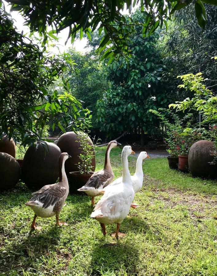 Clayfingers Art Cottage Thrissur Екстериор снимка